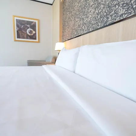 Holiday Inn Rosario By Ihg-3